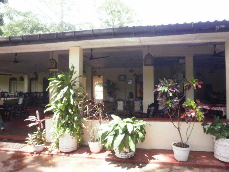Sigiriya Rest House Buitenkant foto
